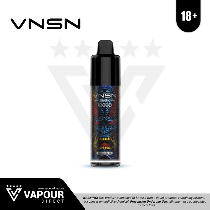 VNSN Disposable 12000 Puffs 50mg - Blueberry Ice